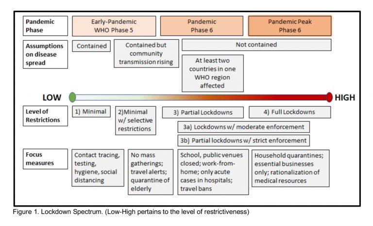 The Thing About Lockdowns: Phases, Readiness, and Localized Responses ...